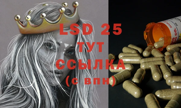 PSILOCYBIN Абаза