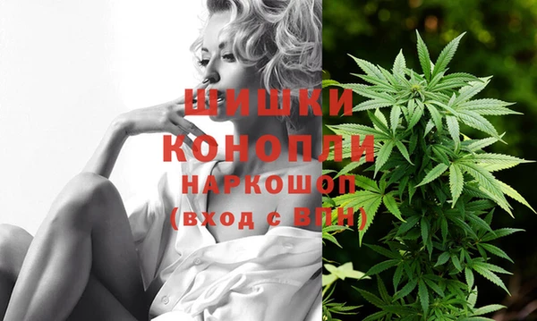 apvp Алзамай