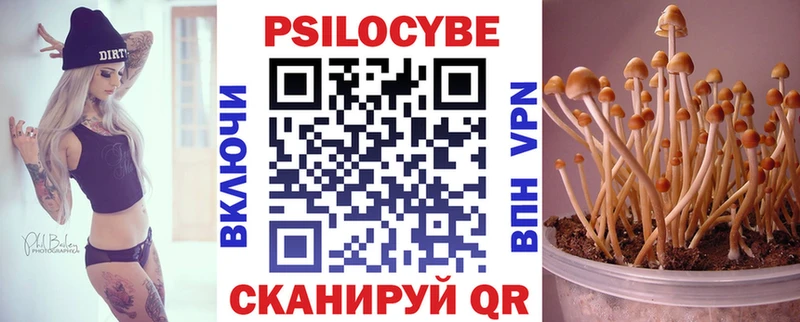 Галлюциногенные грибы Cubensis  Трубчевск 
