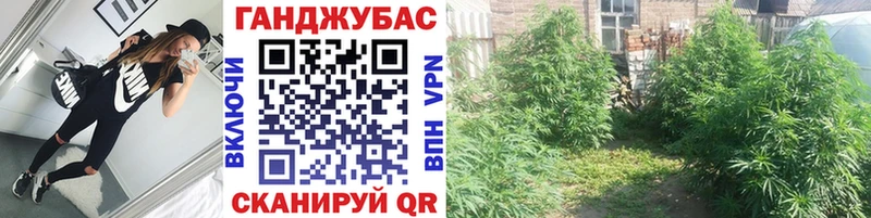 гидра как войти  Трубчевск  Бошки марихуана White Widow 